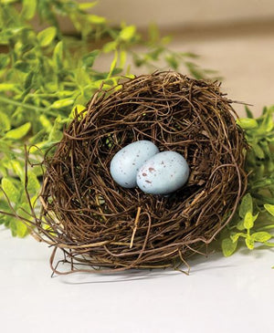 Vine Robin's Nest with Blue Eggs