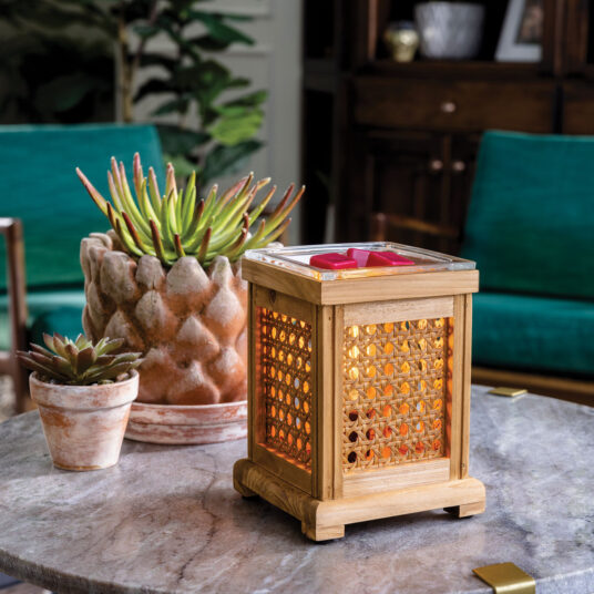 Fragrance Warmer - Wood & Cane